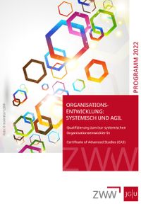 Flyer Qualifizierung zum/zur systemischen Organisationsentwickler/in